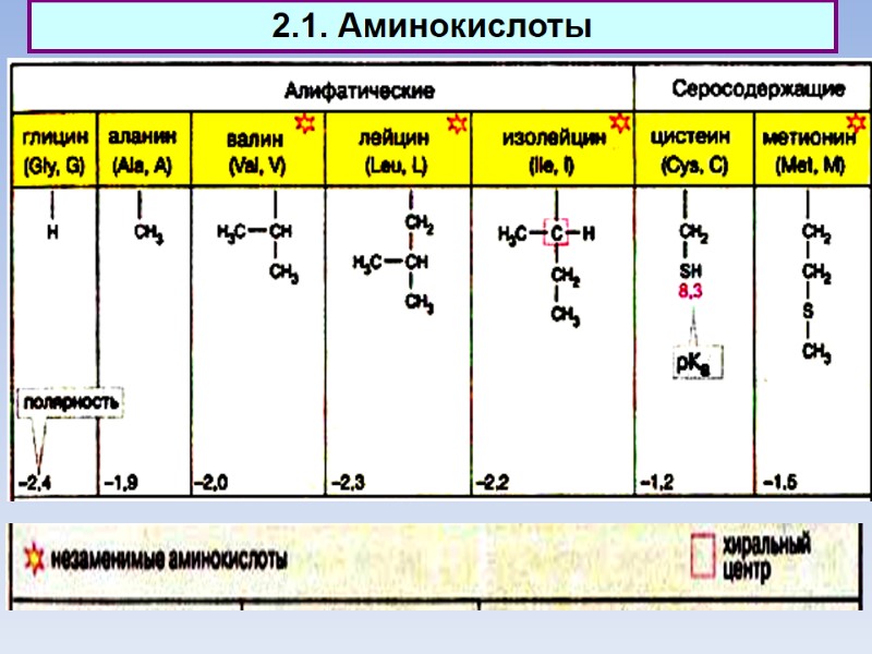 2.1. Аминокислоты